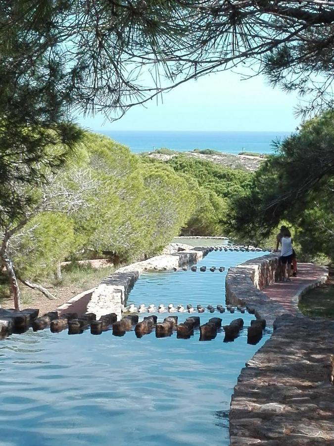 דירות לה מאטה Maximo La Mata מראה חיצוני תמונה